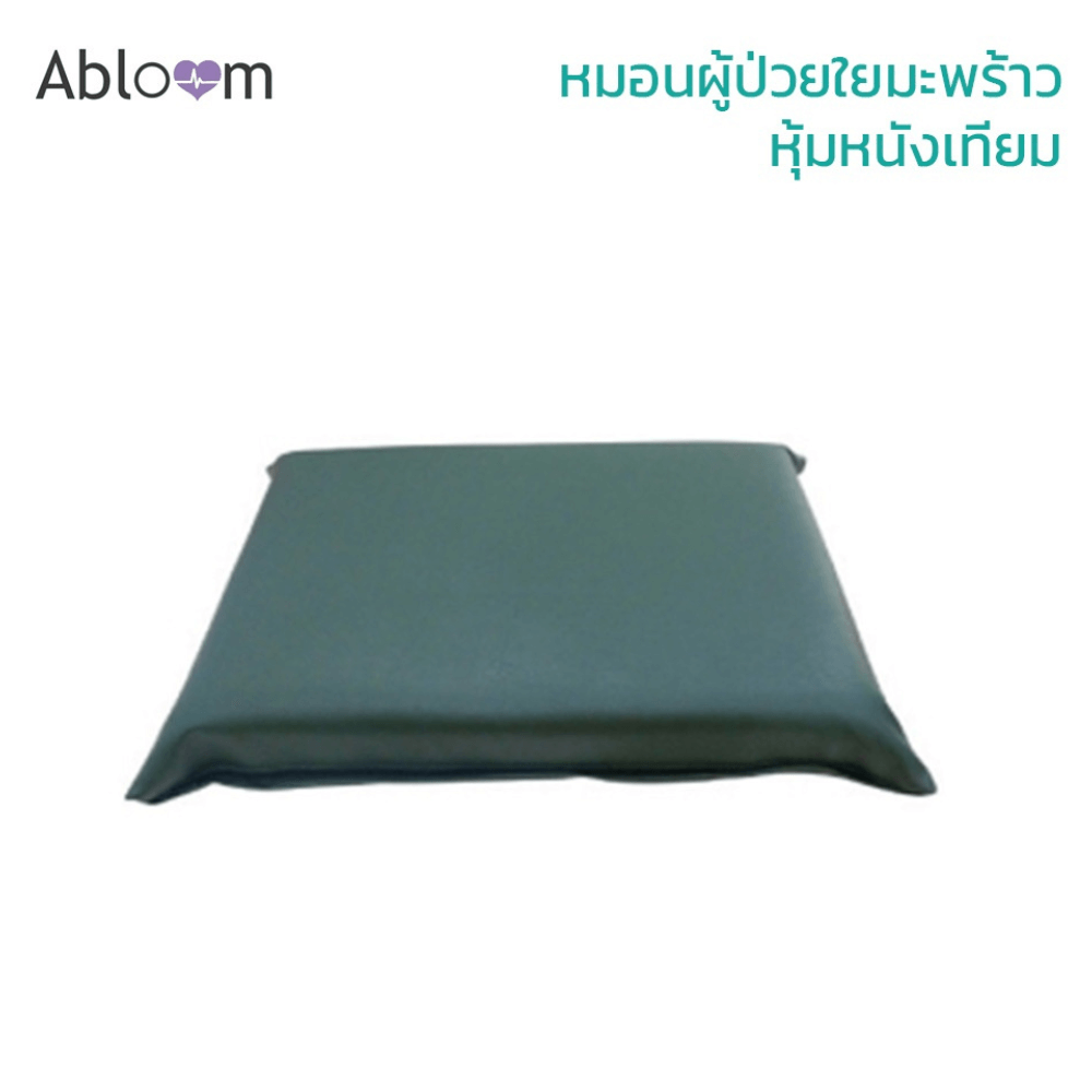 หมอนนอน ใยมะพร้าว หุ้มหนังเทียม ABLOOM 0080037001010